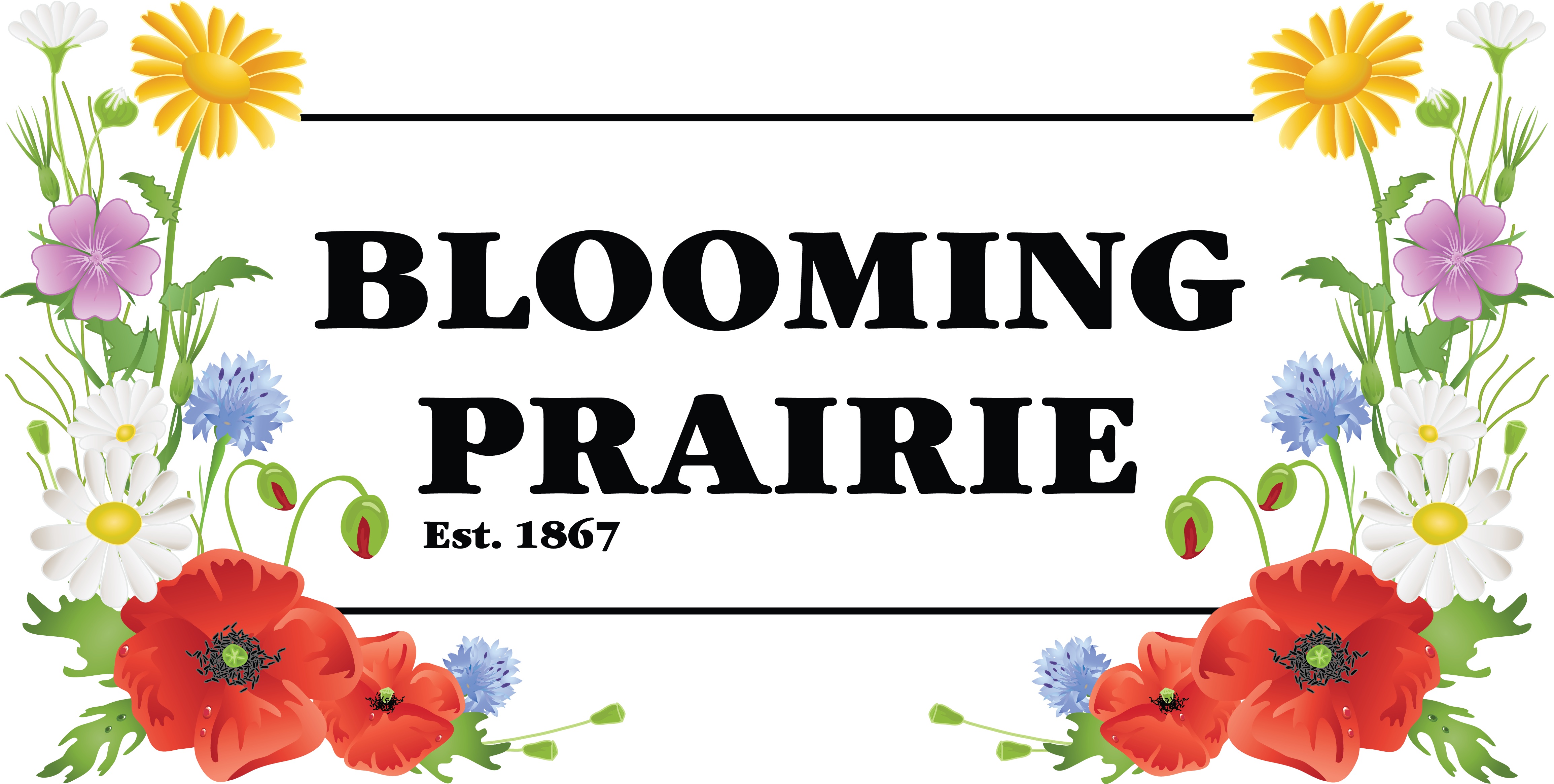 Blooming Prairie, water tower, new landmark