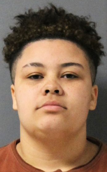 Skylah Conner, steele county, squad car, arrested, mugshot