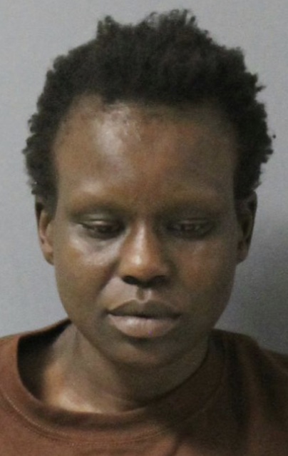 Sarah Kuichtoch, meth, steele county