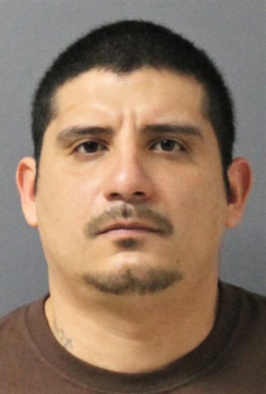 felony, montemayor, domestic assault, steele county, 2023