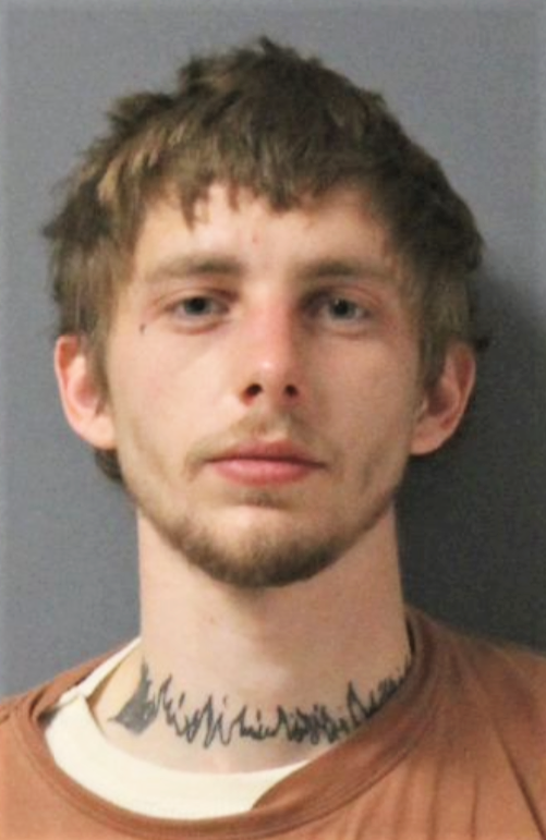 carjacking, owatonna, chase, arrest, police, codie tesch