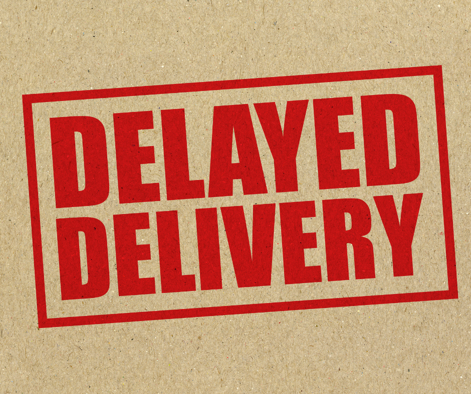 NEWS BULLETIN: NEWSPAPER DELIVERY DELAYED DUE TO STORM, OFFICES CLOSED