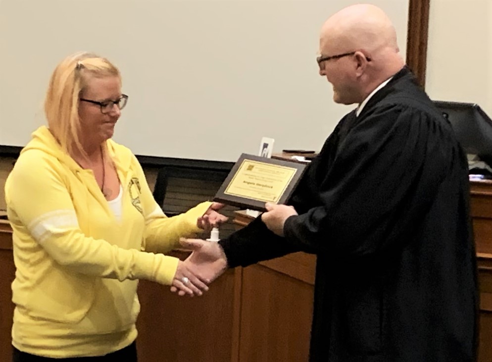 drug court, steele county