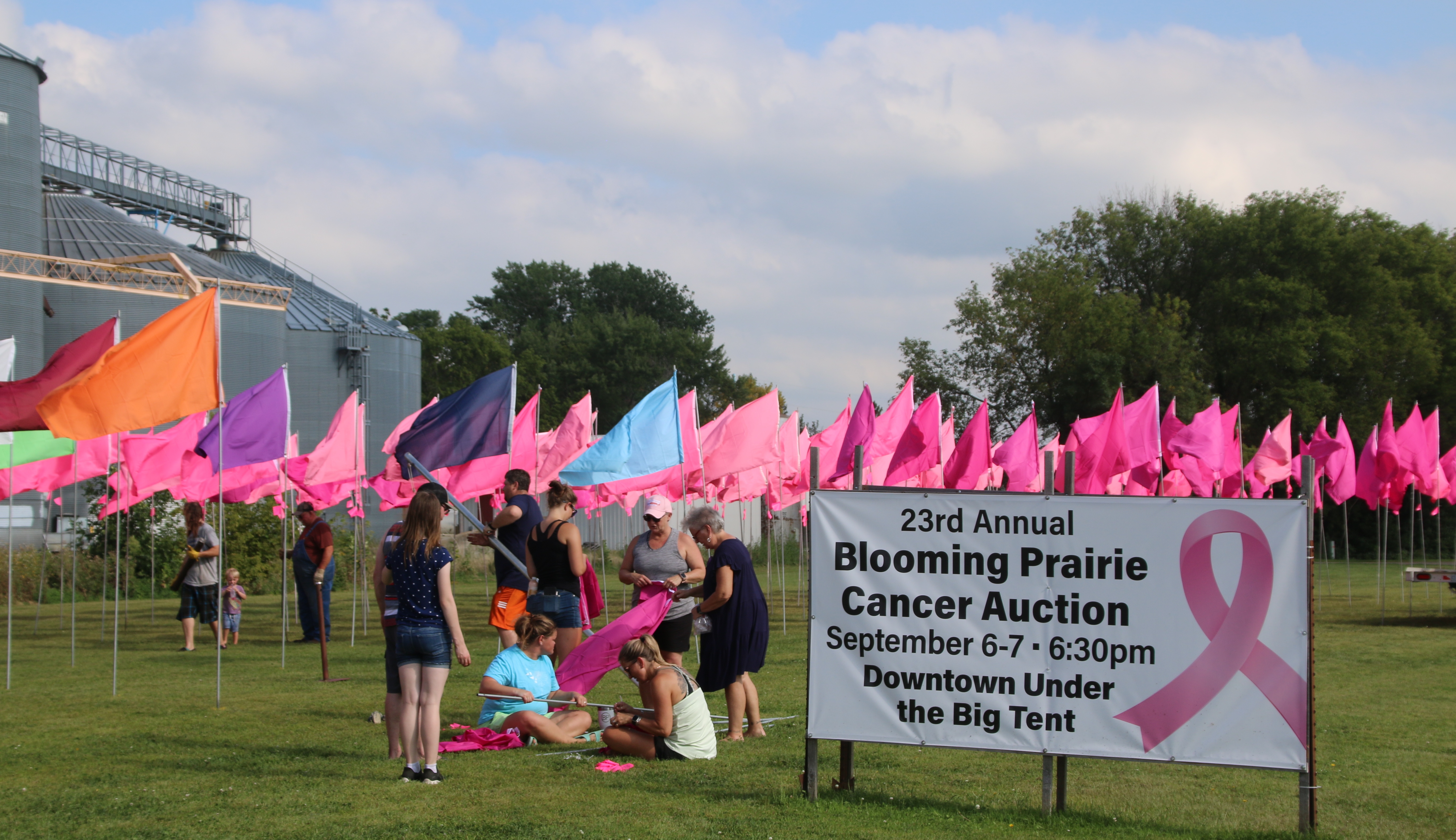 Blooming Prairie Cancer Group, field of flags, 2024, cancer auction