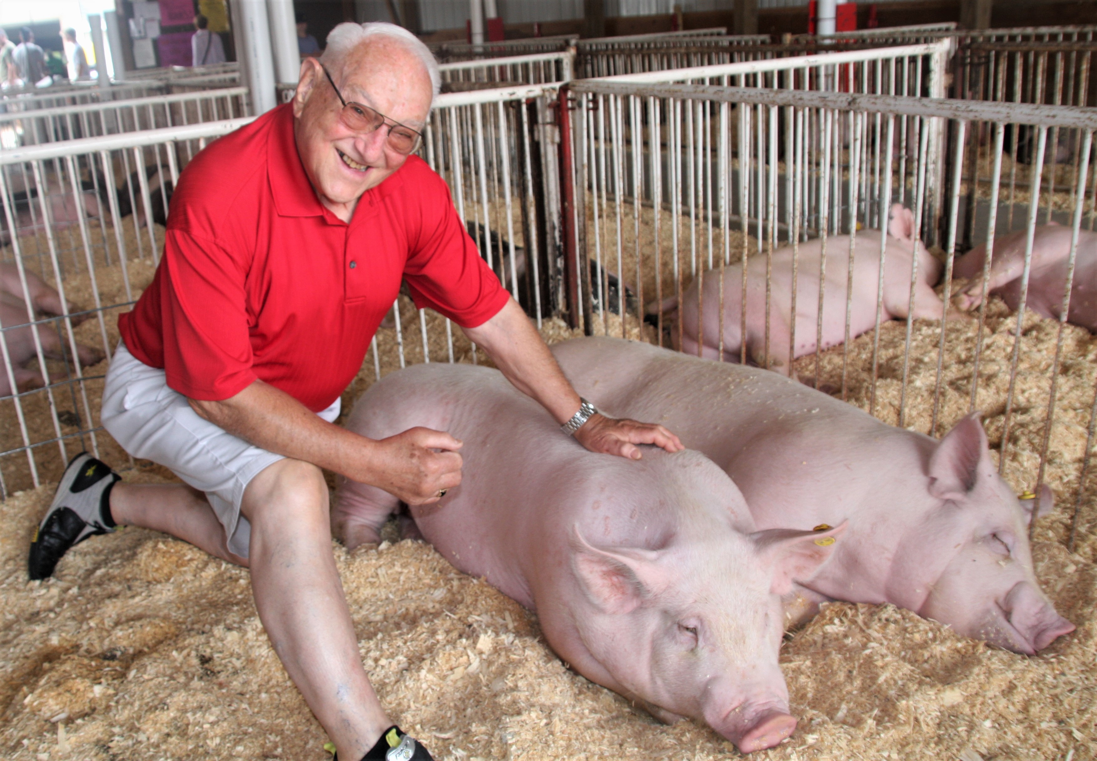 Hohman twins, owatonna, steele county free fair