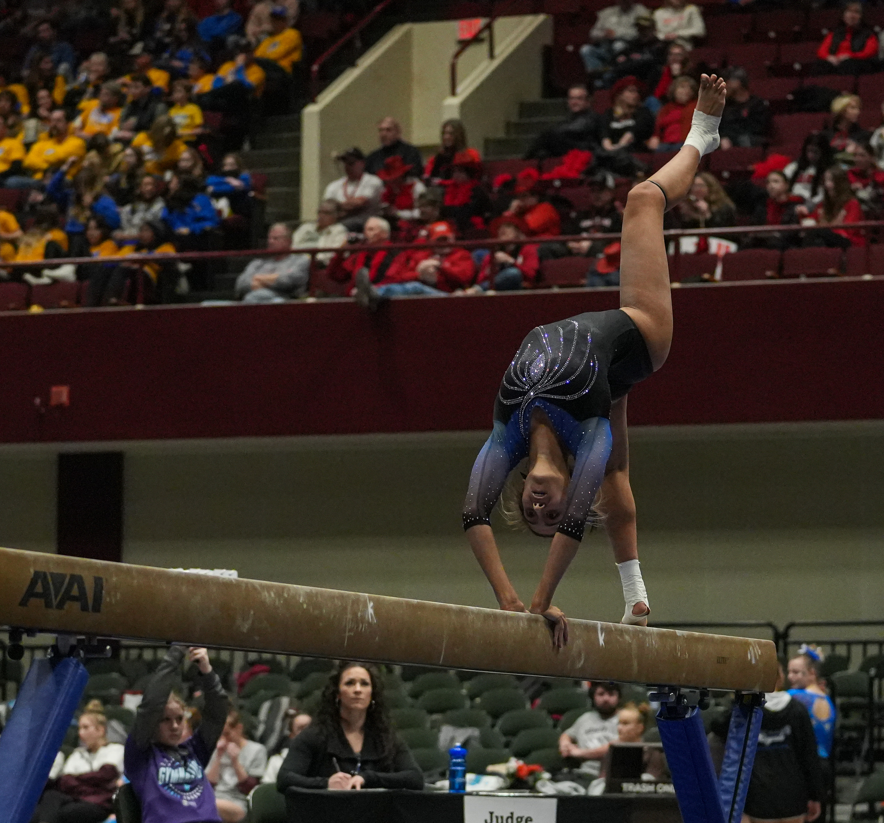 OHS gymnastics repeats on state podium