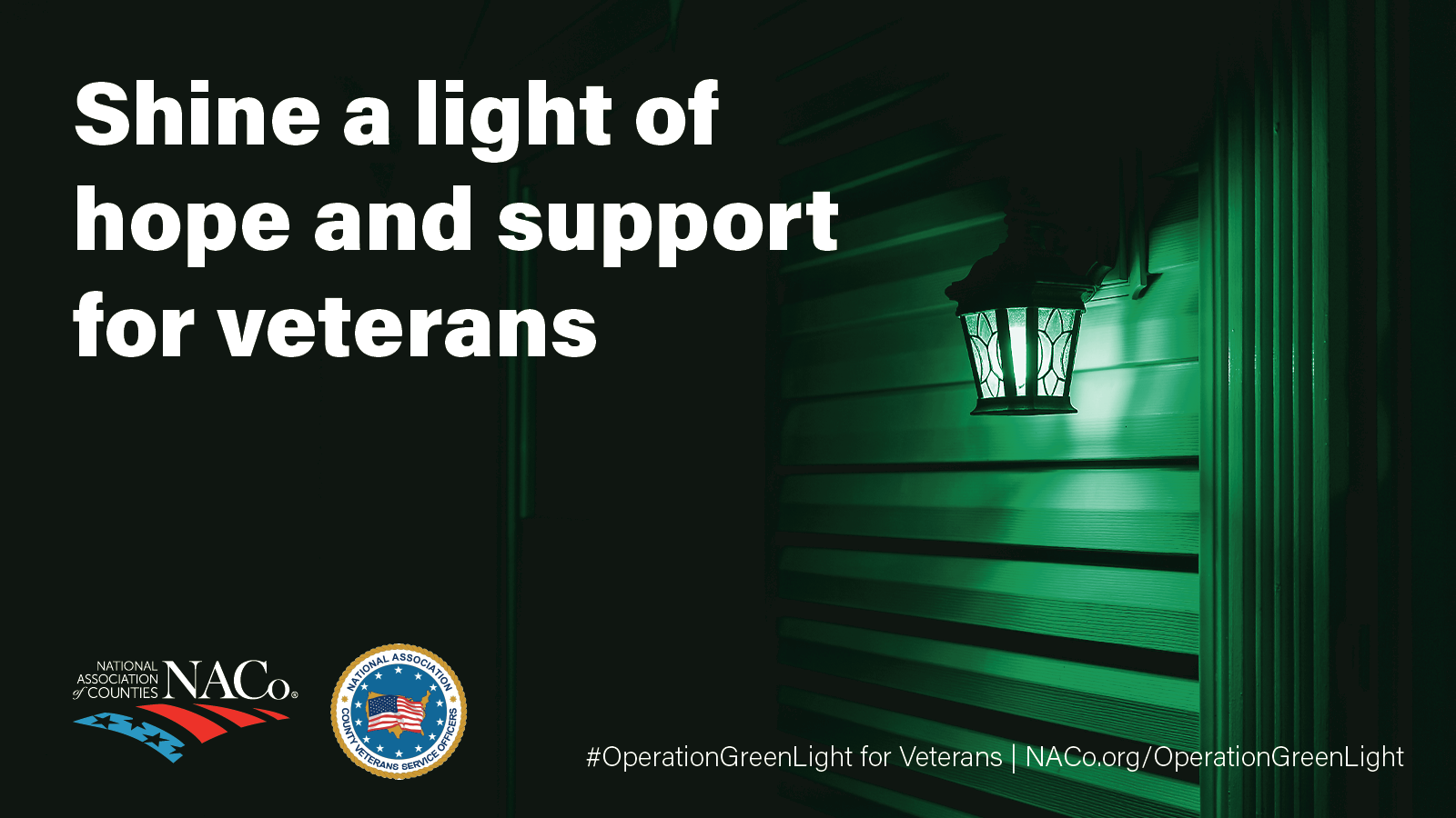 Turn your porchlight green to help vets