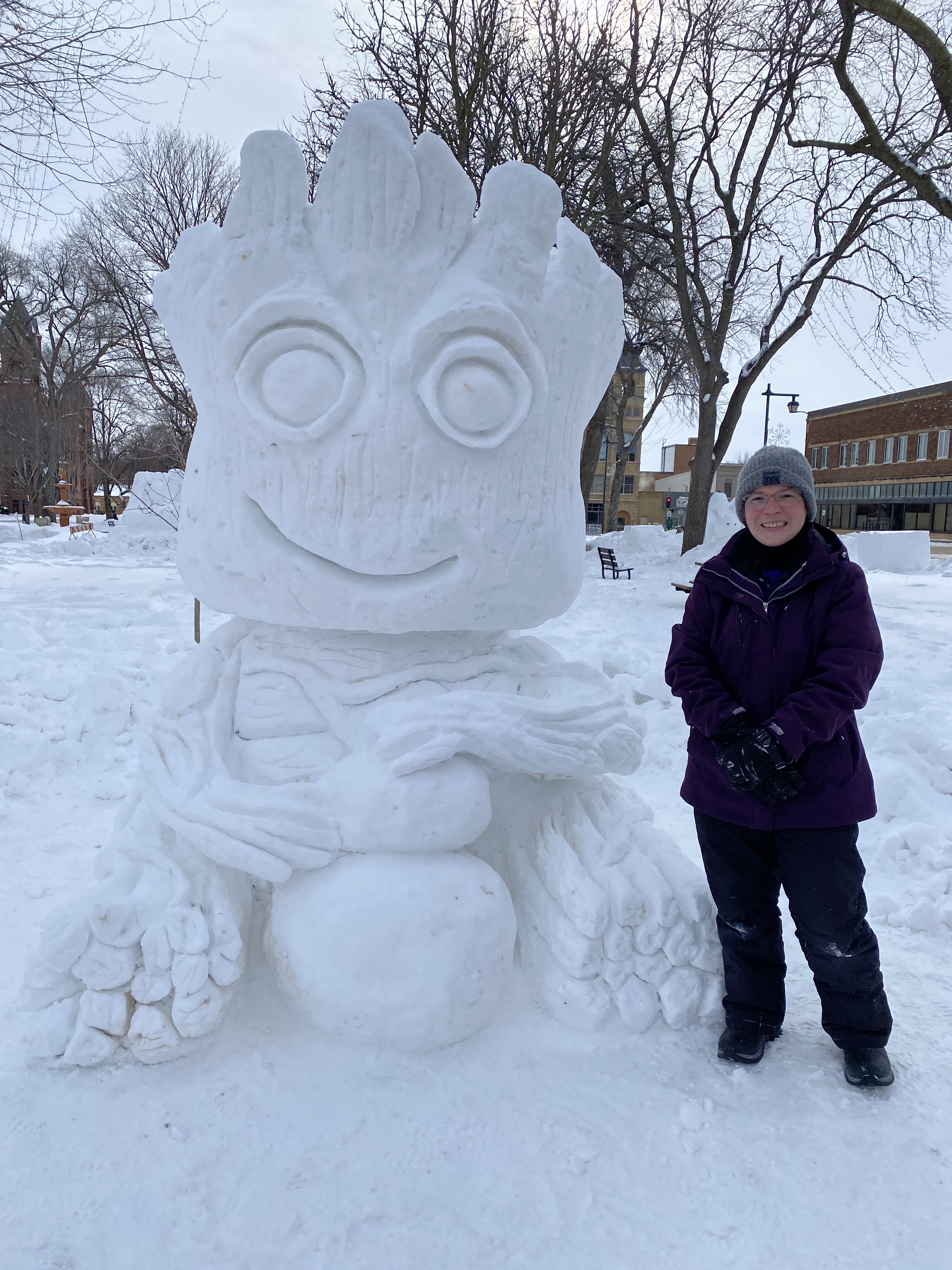 Frigid temps cancel some weekend events, owatonna, bold and cold