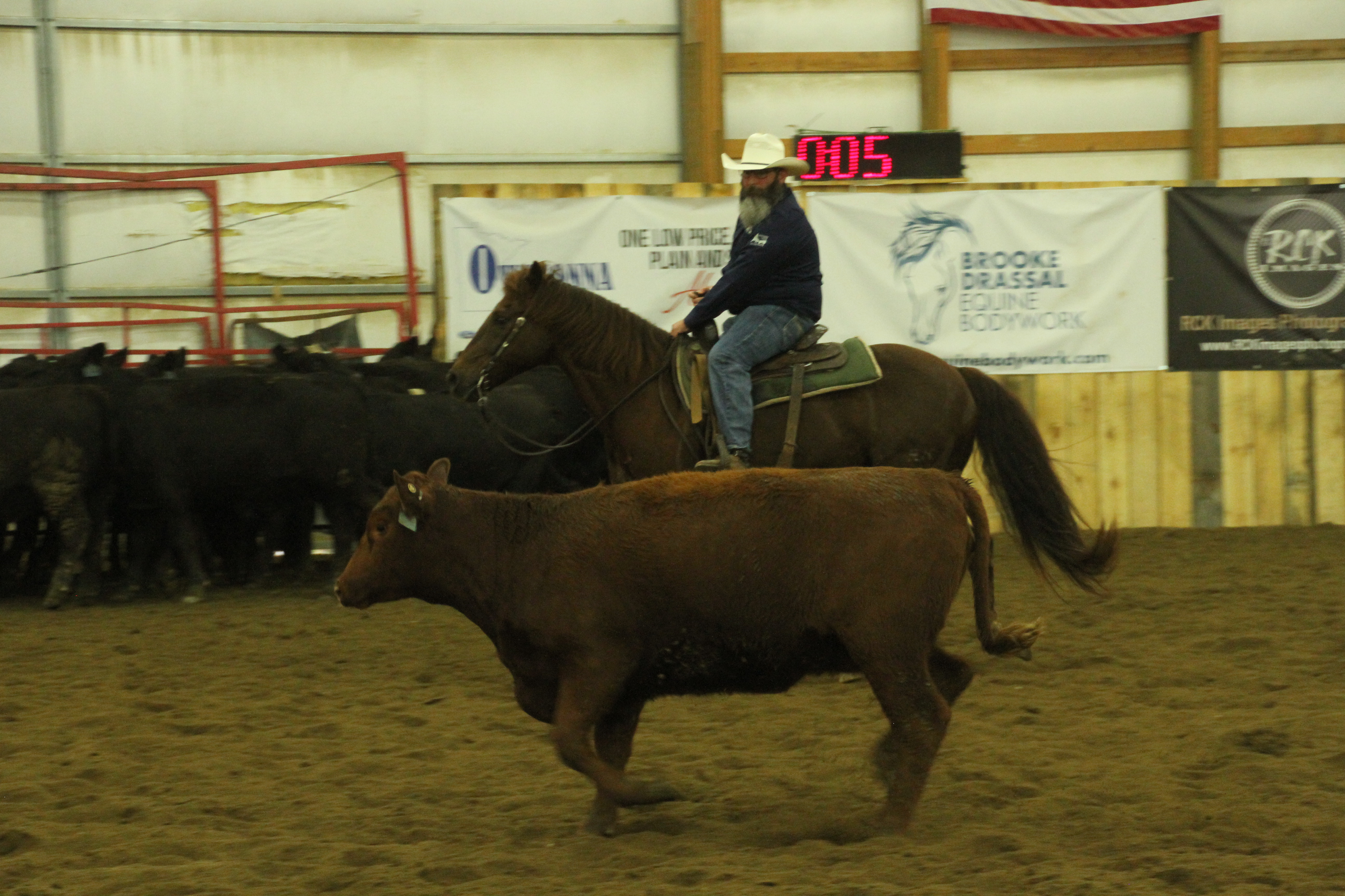 Matt Johnson, cutting horse competition, Owatonna