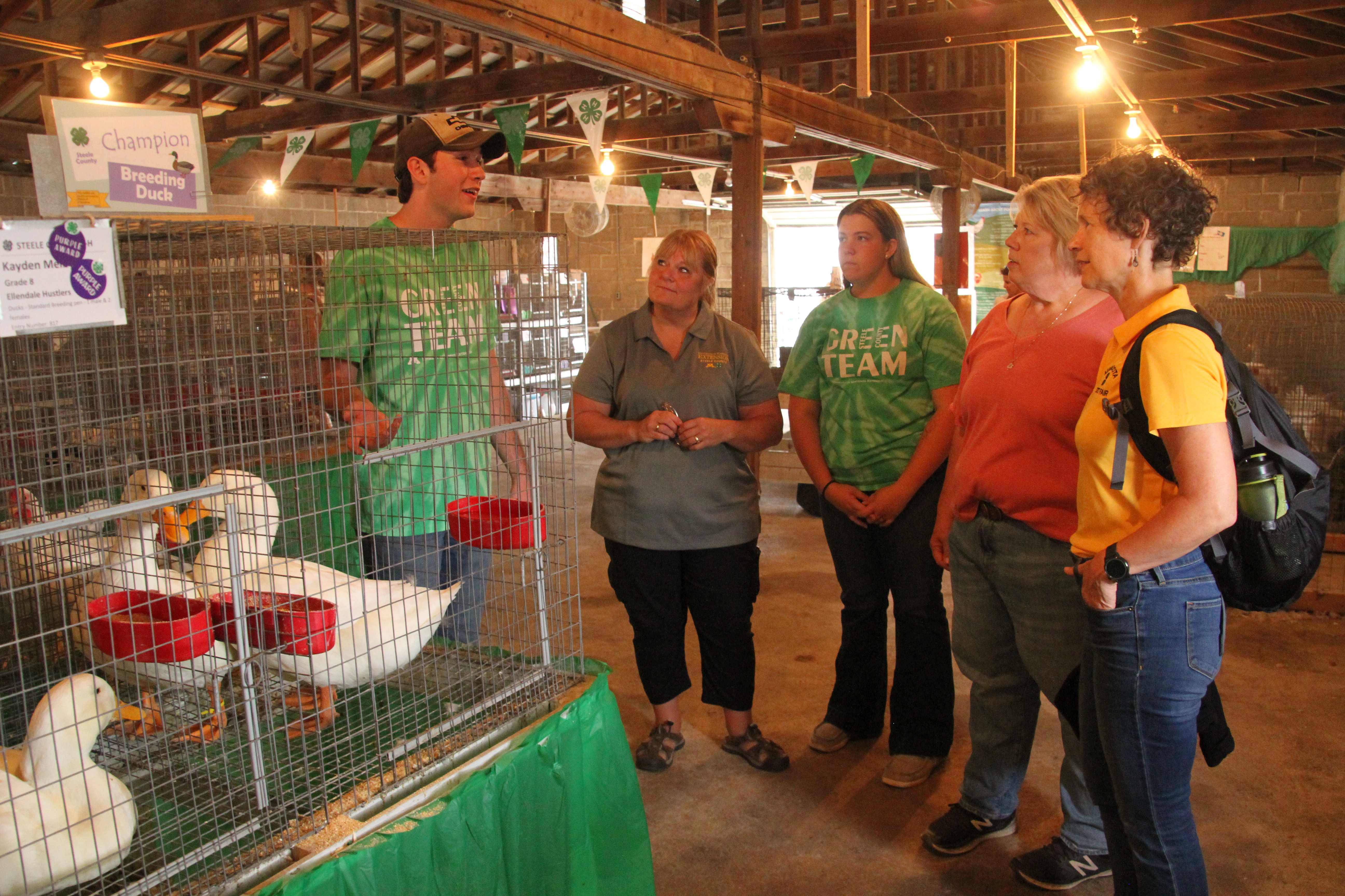 4H, Steele County, state, fair