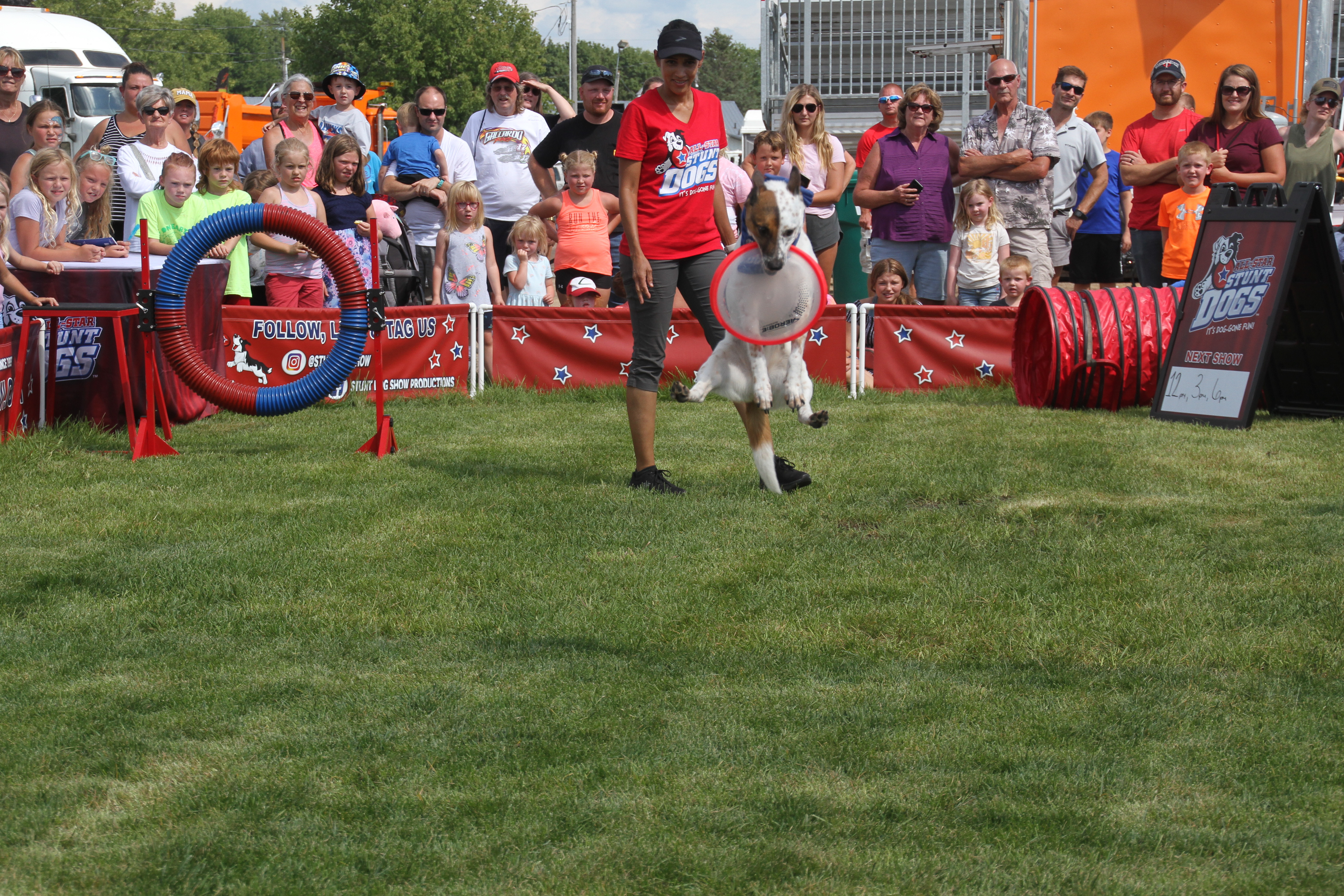 dog show, all star, stunt dogs, steele county free fair, dog tricks