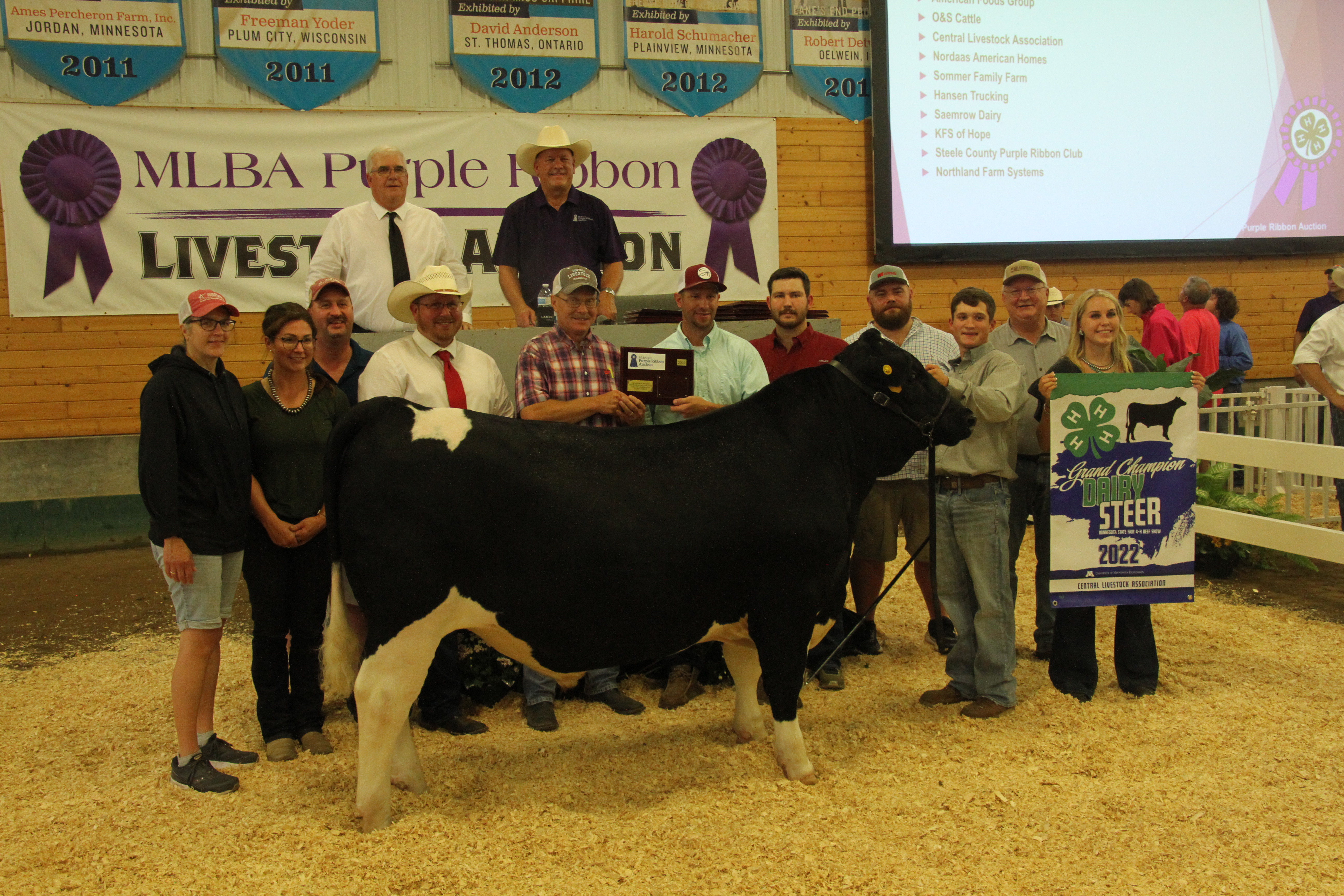 state champs, lewison, steele county, mn state fair, grand champion dairy steer