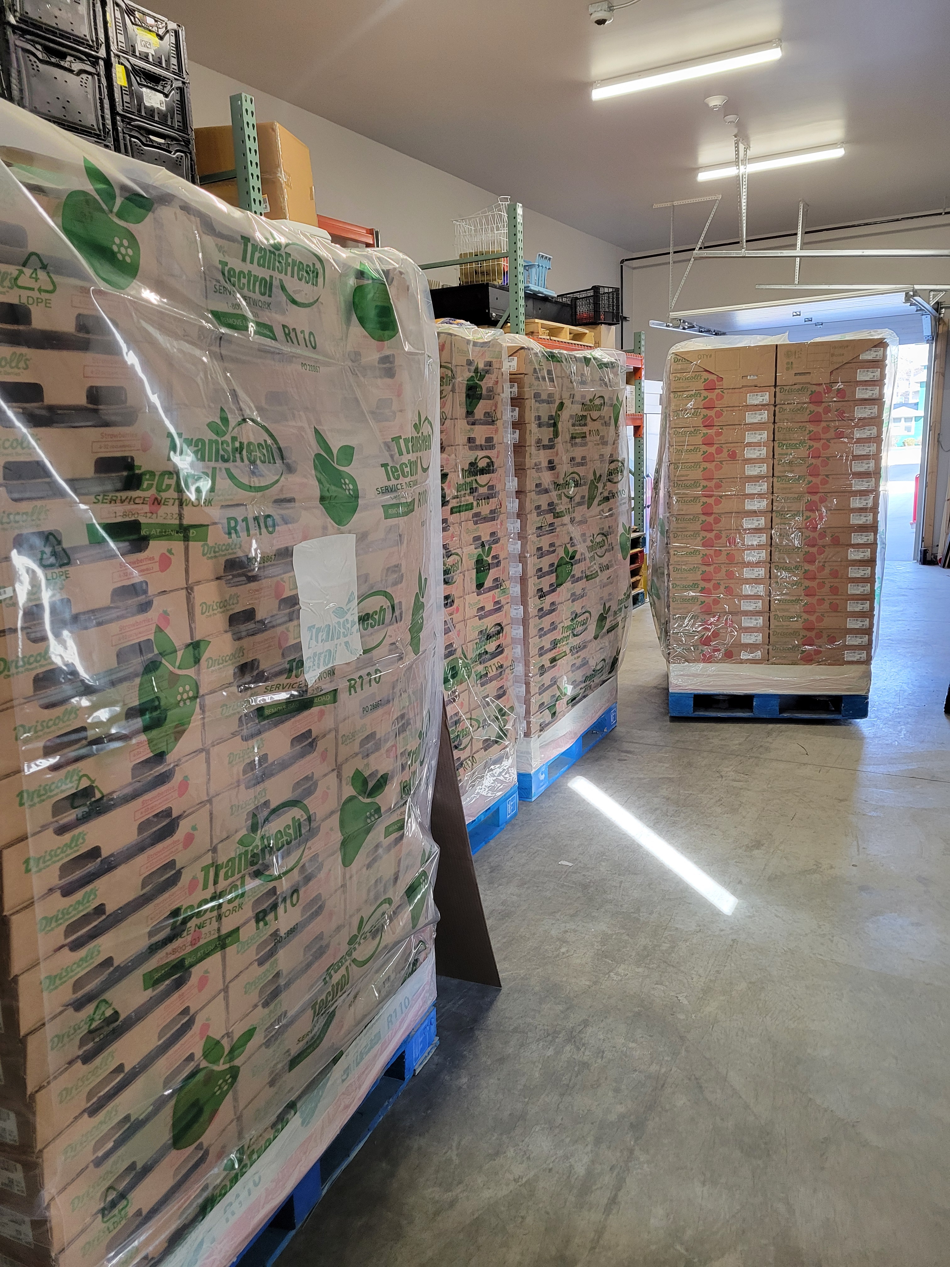 save the strawberries, berry rescue, donation, community pathways, owatonna