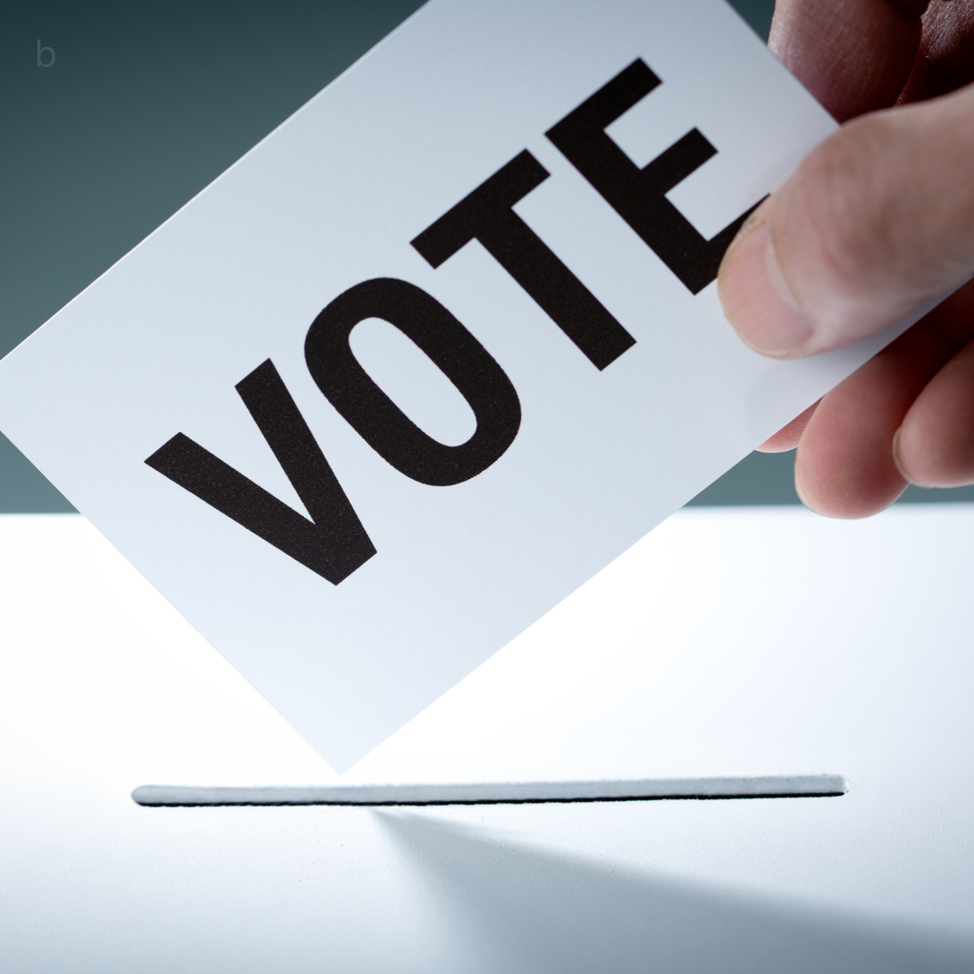 steele county commissioners, election, 2024, opposed, gnemi, krueger, abbe