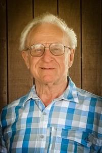 Richard Albin, 81, Braham, obituary