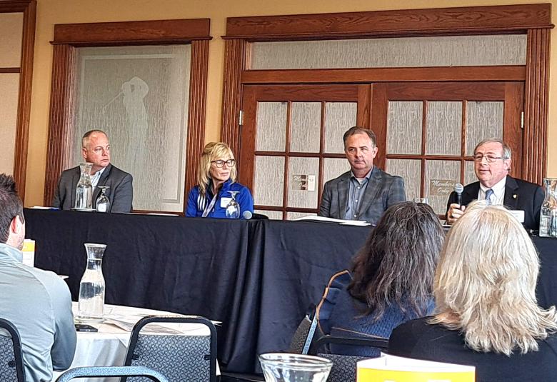 Owatonna Development Panel