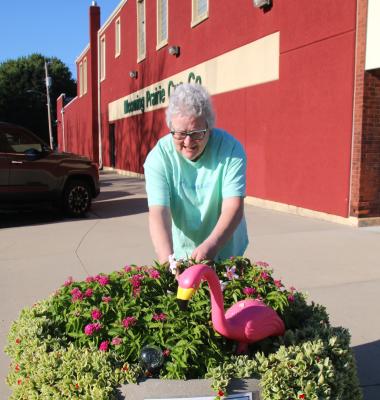 Steele County Times - Staff Photo - Create Article
